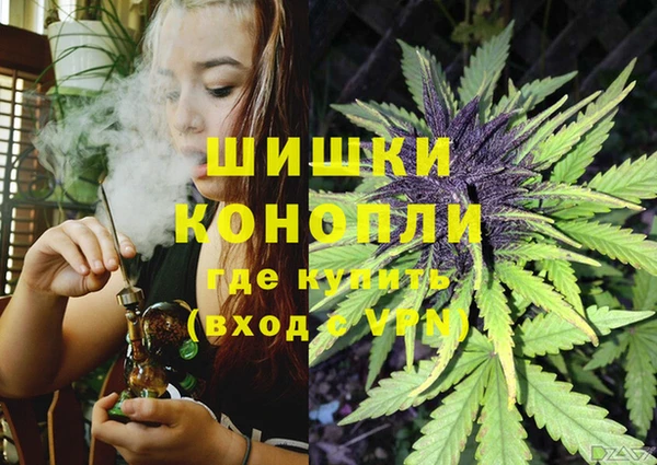 дмт Абаза