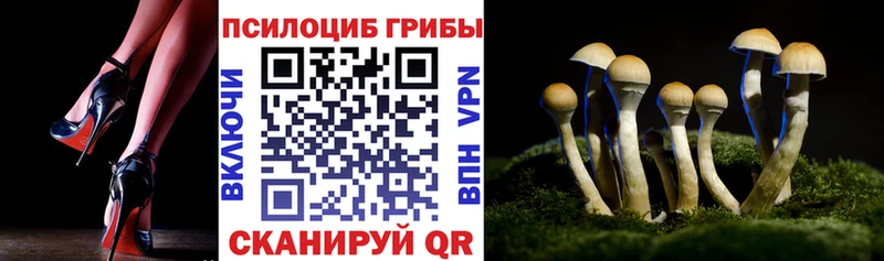 закладка  Каменск-Шахтинский  Псилоцибиновые грибы прущие грибы 