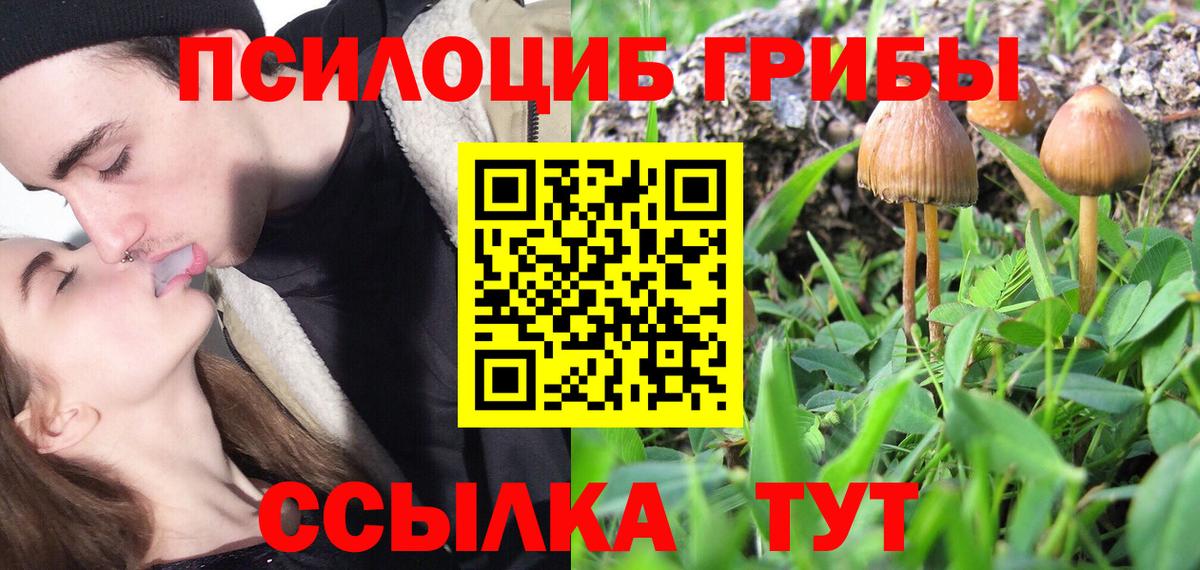 Псилоцибиновые грибы ЛСД  Псилоцибиновые грибы Cubensis  Каменск-Шахтинский  Вход с VPN 